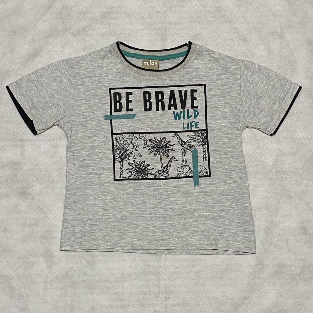 Camiseta Milon ▪︎ Tam 4