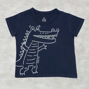Camiseta Hering Kids ▪︎ Tam 2