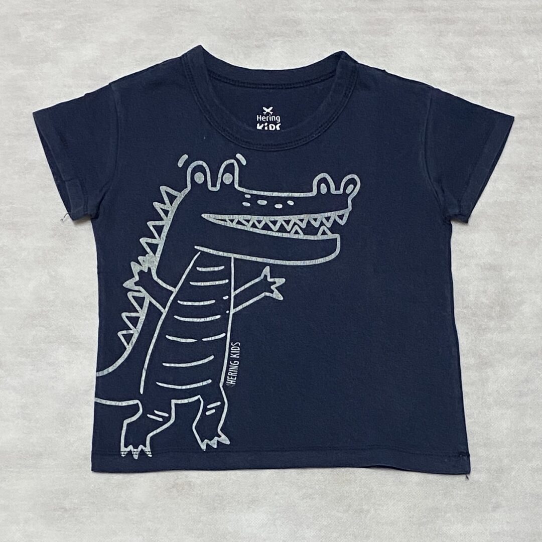 Camiseta Hering Kids ▪︎ Tam 2